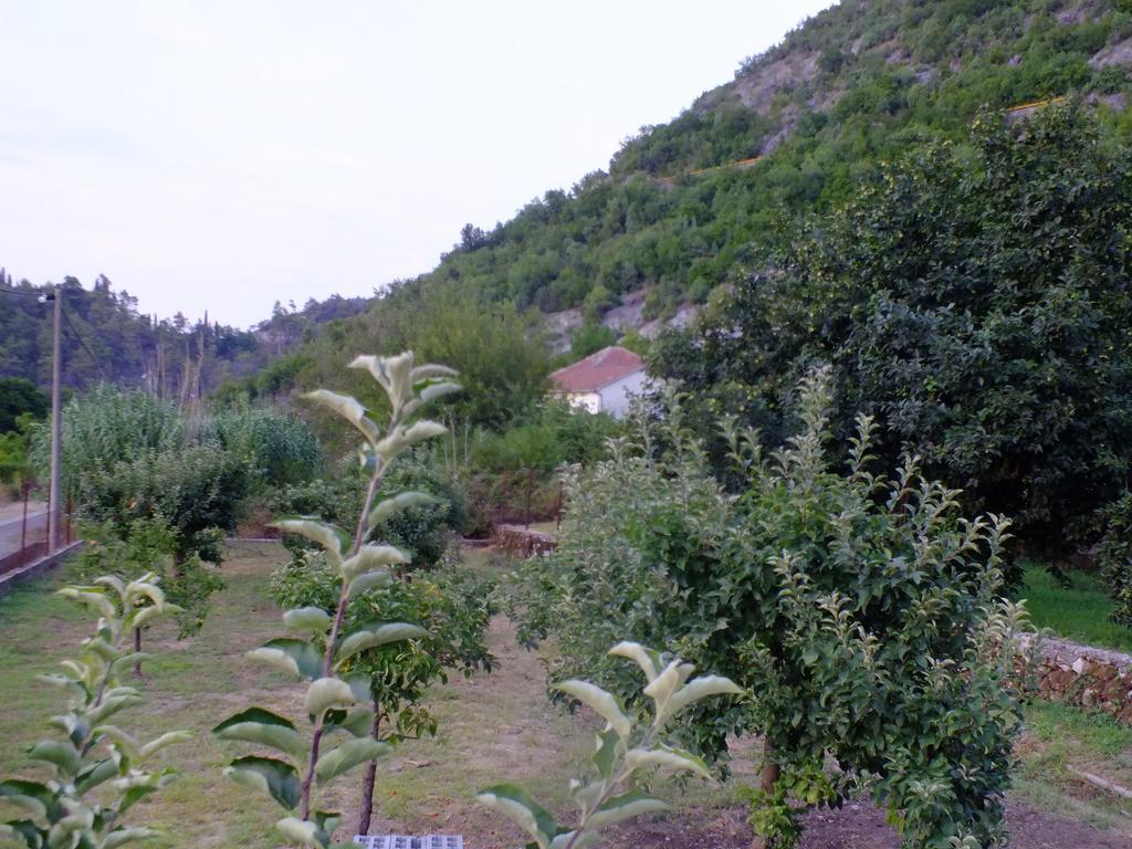 Holiday Home Ivana Virpazar Quarto foto